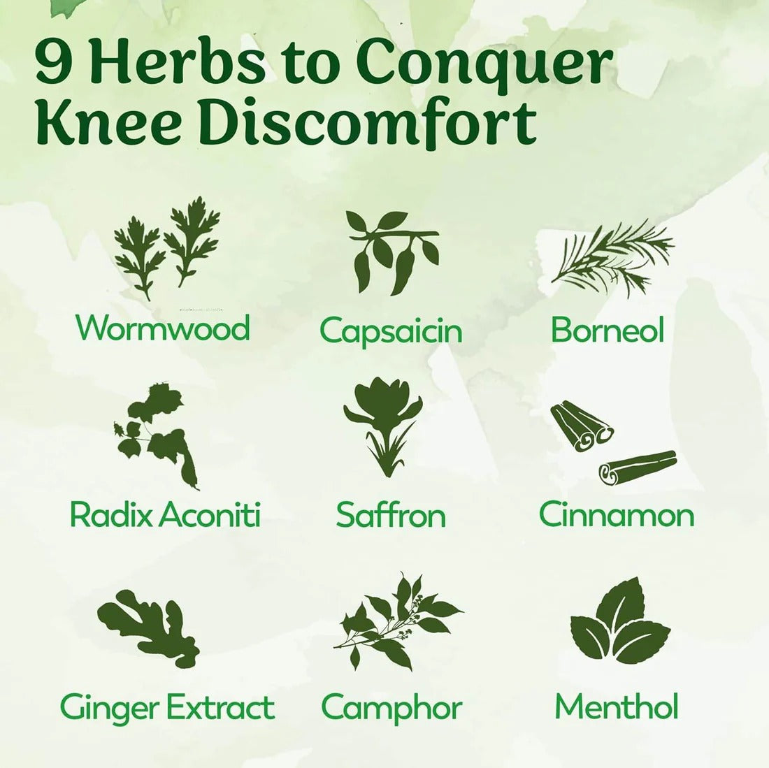 imgi 111 Knee 1